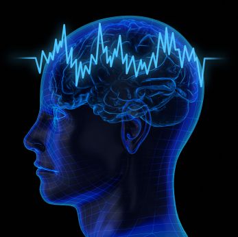 El neuromarketing y la investigación de mercado consumo de información online 4 neuromarketing