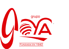 Goya Virtual goya virtual 2 Goya Virtual goya virtual 1